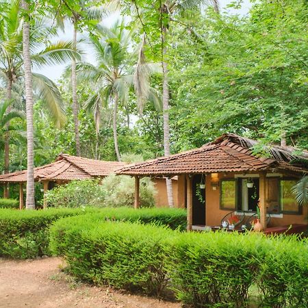 Nature'S Nest Eco Resort Goa, Near Dudhsagar Waterfalls Molem Zewnętrze zdjęcie