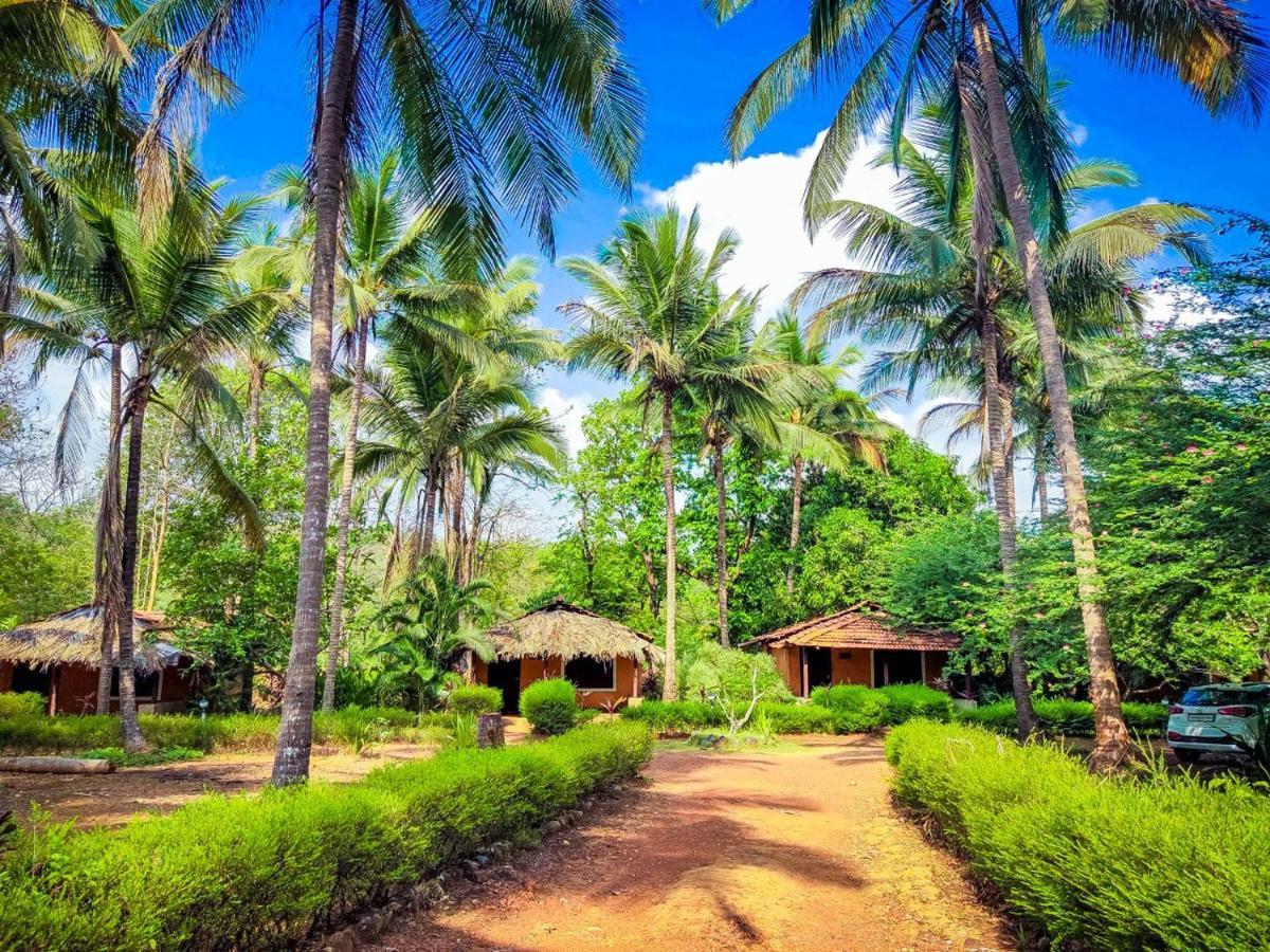 Nature'S Nest Eco Resort Goa, Near Dudhsagar Waterfalls Molem Zewnętrze zdjęcie