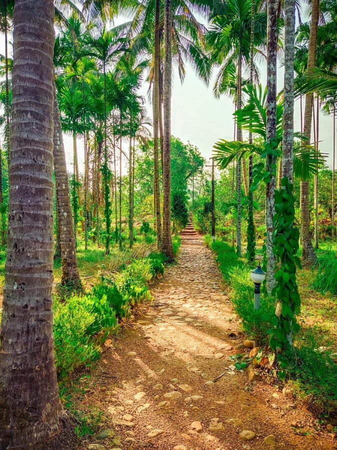 Nature'S Nest Eco Resort Goa, Near Dudhsagar Waterfalls Molem Zewnętrze zdjęcie
