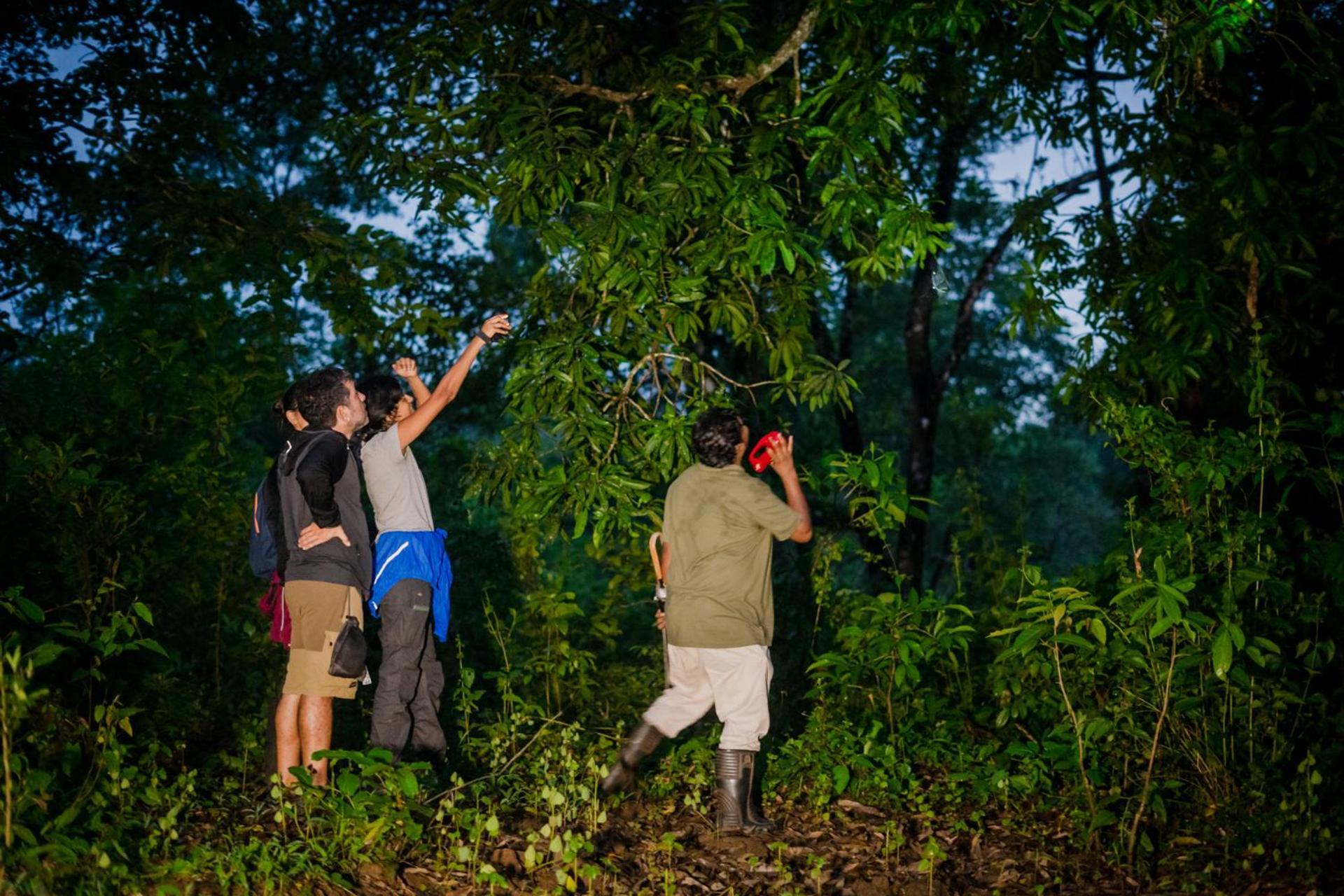 Nature'S Nest Eco Resort Goa, Near Dudhsagar Waterfalls Molem Zewnętrze zdjęcie